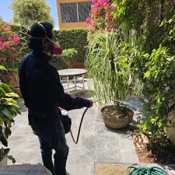3V Control De Plagas Y Mtto Industrial (Santiago de Querétaro)