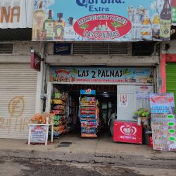 Abarrotes Las 2 Palmas (Santiago de Querétaro)