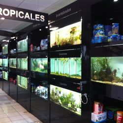 Acuario Biotopic & Garden (Santiago de Querétaro)