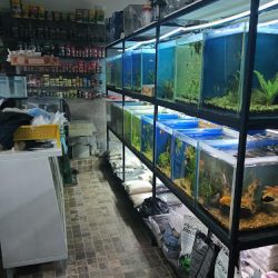 Acuario Mundo Marino De Querétaro (San José el Alto)