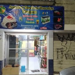 Acuario Y Tienda De Mascotas Vázquez (Santiago de Querétaro)
