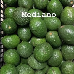 Aguacates Julián (Santiago de Querétaro)