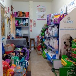 Alimento Y Accesorios Para Mascota
