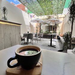 Andador 58 (Santiago de Querétaro)