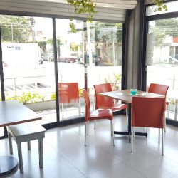Área Cafe (Santiago de Querétaro)