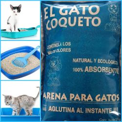 Arena Para Gatos (Santiago de Querétaro)