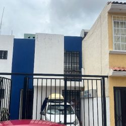 Ase Fumiplagas (Santiago de Querétaro)