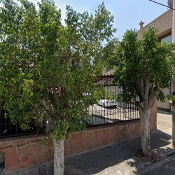 Auto Lavado Ferrari (Santiago de Querétaro)