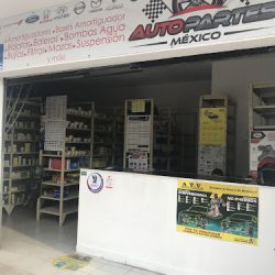 Auto Partes México (Santiago de Querétaro)