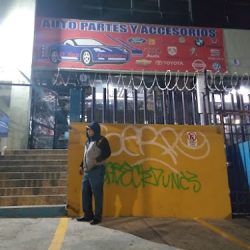 Autopartes Y Accesorios (Santiago de Querétaro)