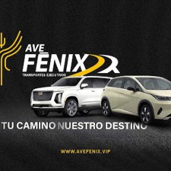 Ave Fenix Transporte Ejecutivo (Santiago de Querétaro)