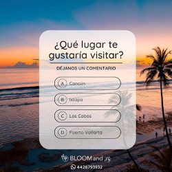Bloom And Fly Servicios Turísticos (Santiago de Querétaro)