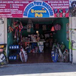 Bonnie Pet (Santiago de Querétaro)