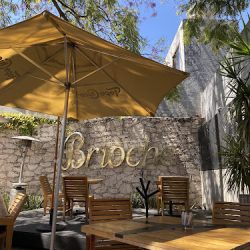 Brioche Social Eatery (Santiago de Querétaro)