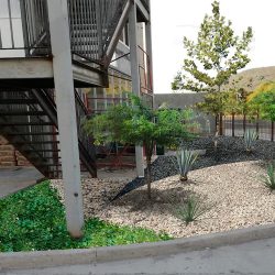 Cacti Garden (Santiago de Querétaro)