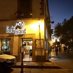 Cafe Mane (Santiago de Querétaro)