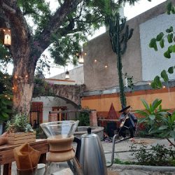 Café Suré (Santiago de Querétaro)