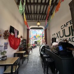Café Xuuka De Oaxaca (Cafetería, Tostadores De Café, Productores De Café) (Santiago de Querétaro)