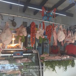 Carniceria El Venado (Santiago de Querétaro)