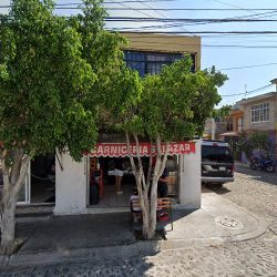 Carnicería Salazar (Santiago de Querétaro)
