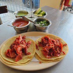 Carnitas Lechón Dorado Querétaro (Santiago de Querétaro)