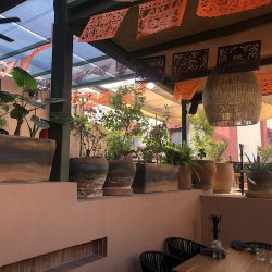 Carola, Terraza Restaurante (Santiago de Querétaro)