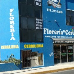 Cerrajería Mega (Santiago de Querétaro)