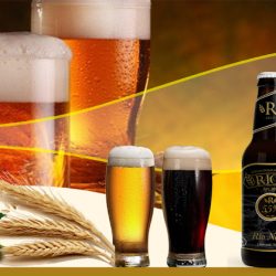 Cervecería Ríos Sa De Cv (Santiago de Querétaro)
