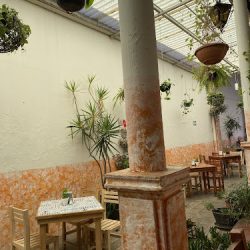 Chicago Taste (Santiago de Querétaro)
