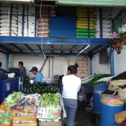Chiles Y Frutas Aldama (Santiago de Querétaro)