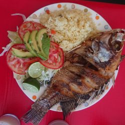 Cocina Económica Carol (Santiago de Querétaro)