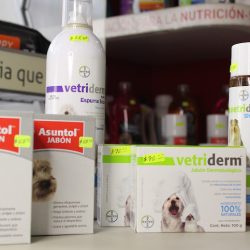 Consentidos Productos Para Mascotas (Santiago de Querétaro)