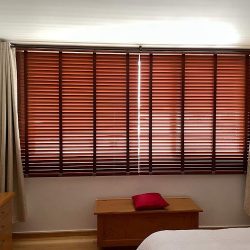 Corticentro Boulevares (Santiago de Querétaro)