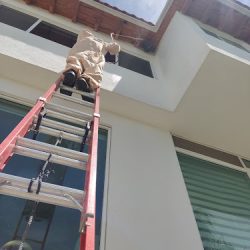 Defcon Fumigaciones (Juriquilla)