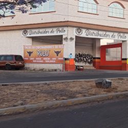 Distribuidor De Pollo (Santiago de Querétaro)