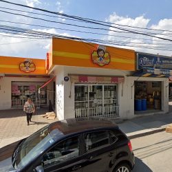Dog&Shop (Santiago de Querétaro)