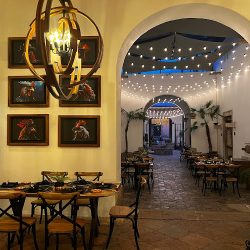 Don Gallo Cuisine (Santiago de Querétaro)