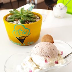 Eis Helados Y Café (Santiago de Querétaro)