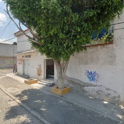 El Babino Carniceria (Santiago de Querétaro)