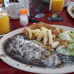 El Comal De La Uteq (Santiago de Querétaro)