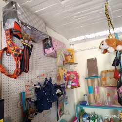 El Gato Perrón (Santiago de Querétaro)