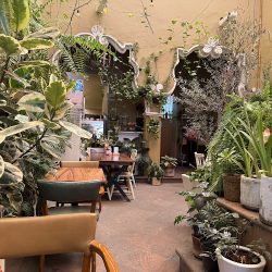 El Jardín De Azu (Santiago de Querétaro)
