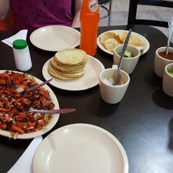 El Vipcito Taquería (Santiago de Querétaro)
