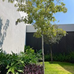 Eleden Paisajismo (Zakia)