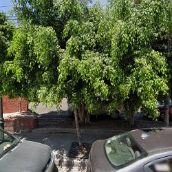 Es Gestores (Santiago de Querétaro)