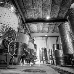 Escuela De Vino (Bodega De Producción) (Santiago de Querétaro)