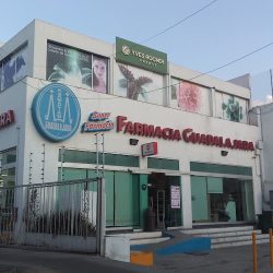 Farmacia Guadalajara (Santiago de Querétaro)