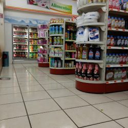 Farmacia Guadalajara (Santiago de Querétaro)