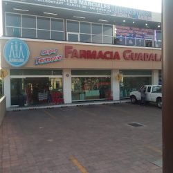 Farmacia Guadalajara (Santiago de Querétaro)