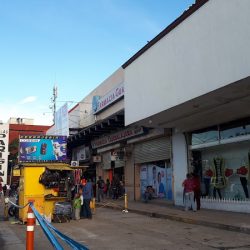 Farmacia Guadalajara Fg (Santiago de Querétaro)